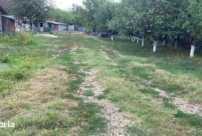 Teren de 675 mp, în Gorgota - 4