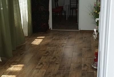 Casă cu 3 camere în Agriș - 8