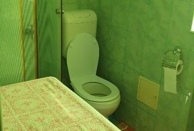 Apartament 1 camera pentru chirie - 5