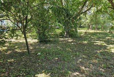 Casă cu 4 camere cu Teren 1727 Mp în Corbeanca