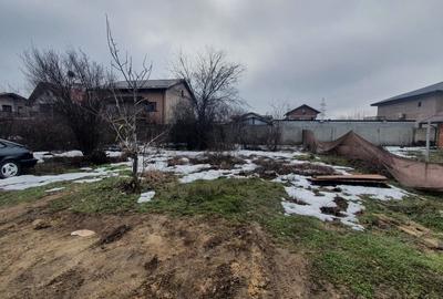 Teren Construcții intravilan de 1000 mp, în Cernica - 4