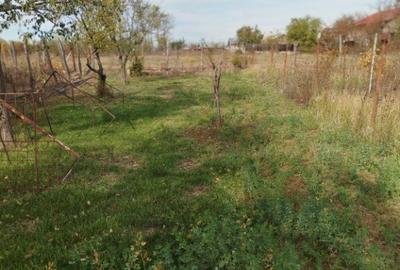 Teren Intravilan Poienarii Rali Prahova 700mp - 3