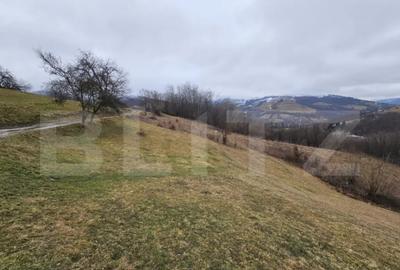 Teren în Abrud-Sat - 1