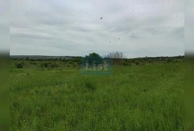 Teren de 800 mp, în Sopor - 2