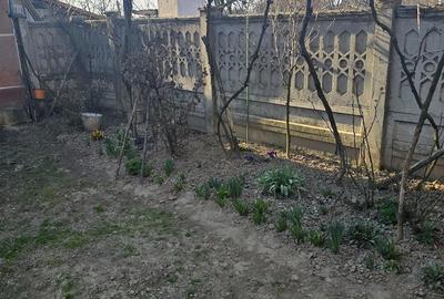 Casă cu 3 camere cu Teren 1800 Mp în Drăgoiești - 2