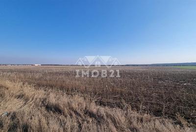 Teren extravilan de vanzare in Aricestii Rahtivani 11000 mp - 2