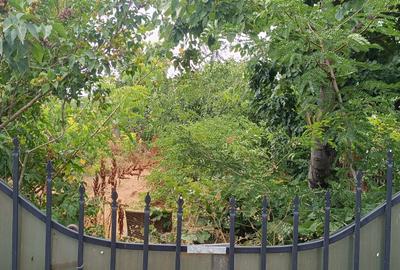 Lumina, teren intravilan, poziționat între case - 4