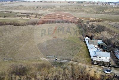 Teren 2925 mp comuna Mitocu Dragomirnei - 7