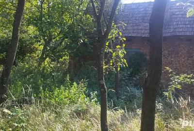 Casa de vanzare 1946 mp, 40000 EUR - 2