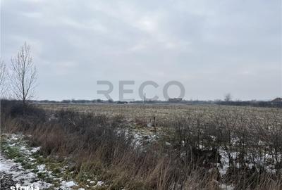 Teren de 26000 mp, în Cefa - 11