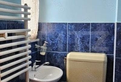 Apartament istoric cu 4 camere, etaj intermediar, 135 mp, zona Iosefin - 8