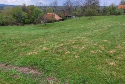 Casă cu 2 camere în Vânători - 3