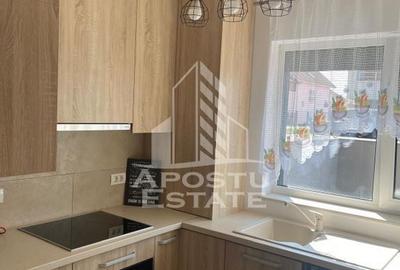 Apartament cu 3 camere semidecomandat în Buziașului - 1