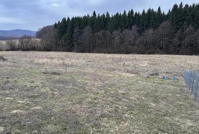 Teren de 1030 mp, în Vlădeni - 5