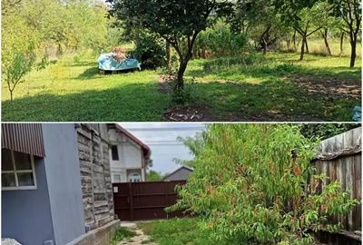 Casă cu 2 camere în Sighetu Marmației - 4
