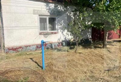 Casă cu 4 camere cu Teren 3000 Mp în Otvești - 8