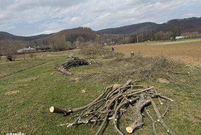 Teren de 3310 mp, în Central - 8