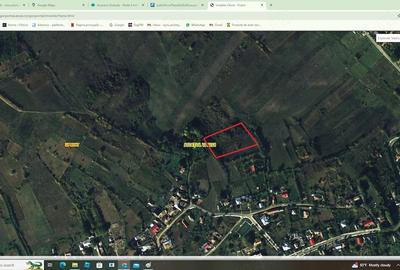 Teren de 3600 mp, în Lipovăț - 2
