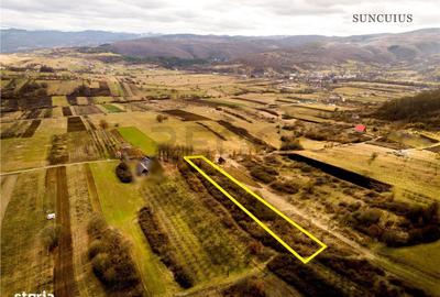 Spațiu comercial, în Vadu Crișului - 8