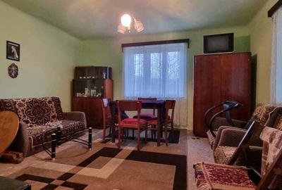 Casa + teren intravilan 6600mp A?chileu Mare - 7