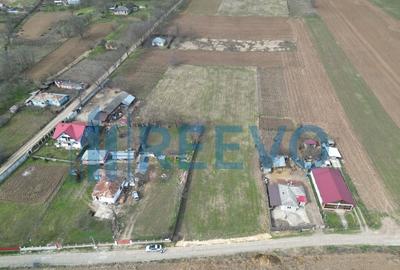 Teren de vanzare, Sat Bazga, Com. Horge?ti, Bacau - 18