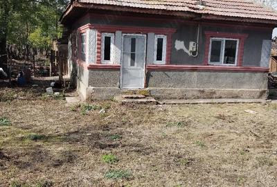 Casă cu 2 camere în Central - 1