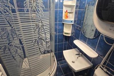 Vanzare garsoniera - Tudor Vladimirescu - etaj 2 Vanzare garsoniera - Tudor Vladimirescu - etaj 2 - 5