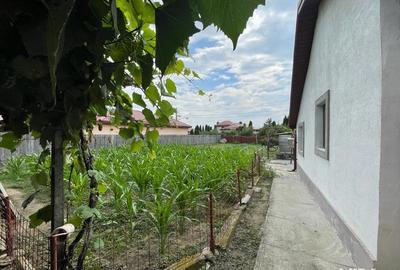 Casă cu 5 camere cu Teren 1784 Mp în Merei - 1