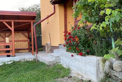 Casă cu 3 camere în Mica - 8
