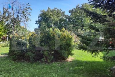 Colt de poveste, 1600 mp, piscina, semineu, centru Giarmata - 3