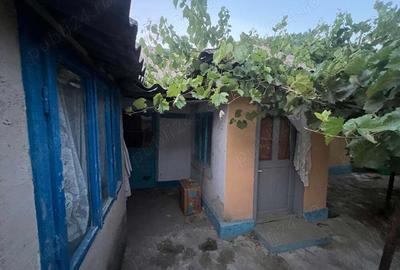 Casa batraneasca + teren - 3