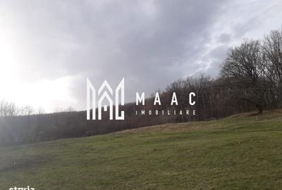 Spațiu comercial, în Râu Sadului - 10
