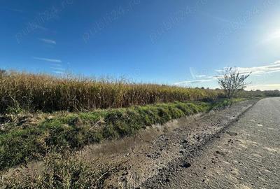 Teren de 3043 mp, în Sântana de Mureș - 1