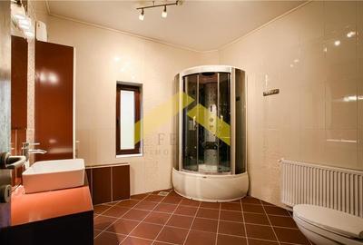 Casa de vanzare in Vladimirescu Cartierul Tineretului - 22