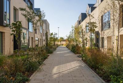 STUDIO BEST PRICE cu Gradina Avalon Estate - 9