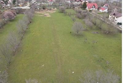 Teren de 10000 mp, în Voila - 3