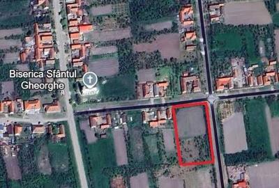 Spațiu comercial, în Belinț - 6
