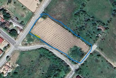 Teren intravilan  + casa