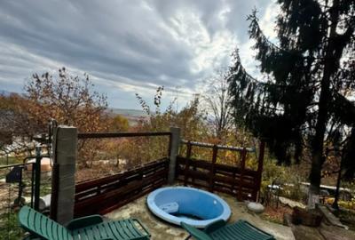 Casă cu 4 camere cu Teren 1527 Mp în Tăuții de Sus - 11