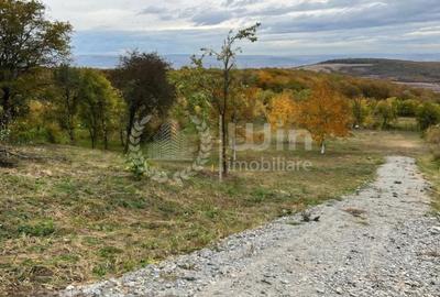 Teren intravilan 3744mp ideal pentru casa/duplex in Sat Gheorghieni! - 2