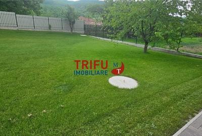 Casă cu 1 camere cu Teren 1335 Mp în Ighiu - 7