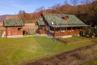 Casa din lemn Ribita,jud Hunedoara - 24