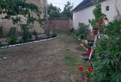 Casă cu 6 camere în Alioș - 6