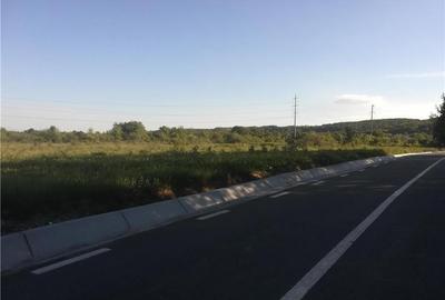 Teren de 6446 mp, în Smeura - 8