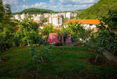 Casa superba zona centrala p+1 Resita - 43