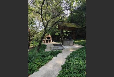 Vila superba 7 camere, Provita de Jos, 22.000 mp teren - 22