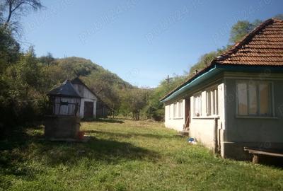 Casă cu 3 camere în Hălmagiu - 4