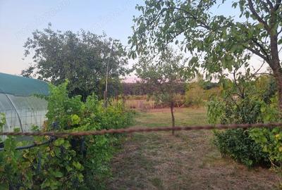 Casă cu 5 camere cu Teren 2875 Mp în Sadina - 20