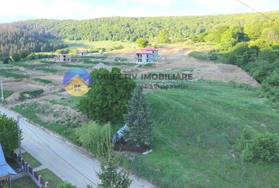 TEREN intravilan PIATRA NEAMT strada DRAGOS VODA (Valea Viei) - 4