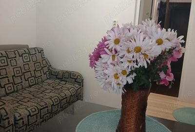 Proprietar, vand apartament - 3